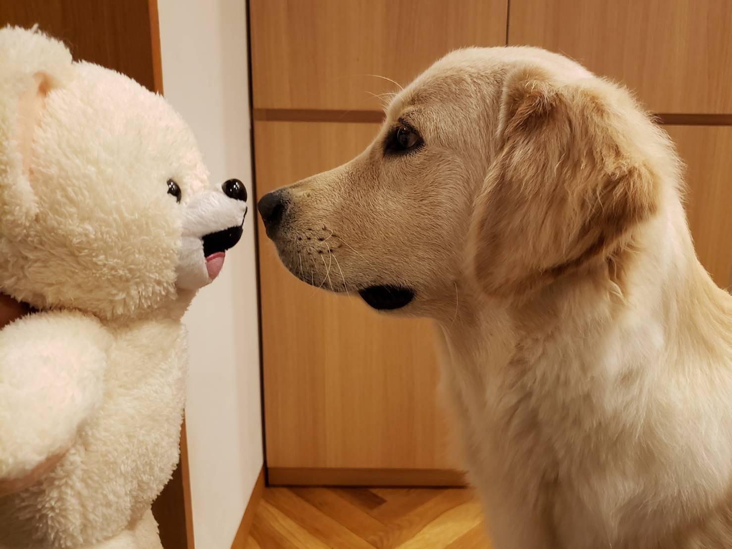 ダブルfafa カルデラバッチョの日々