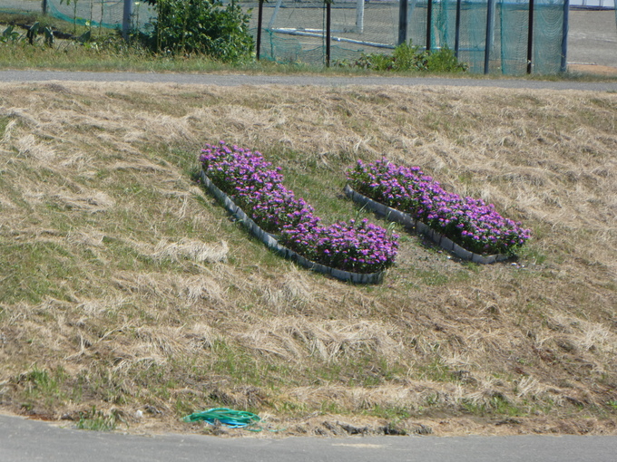 いなだの花文字花壇 日常の出来事 いなだの花文字花壇 日常の出来事