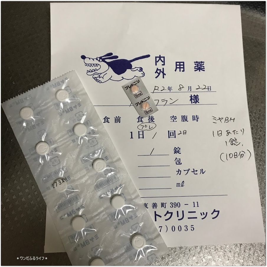 *環境変化・食欲不振、心配したわ~*_d0317115_21342613.jpg