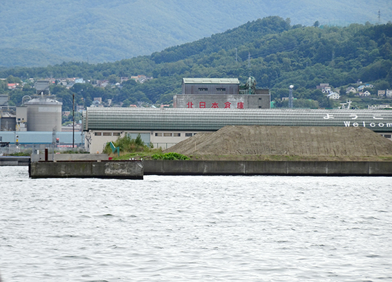 2020・8・25  小樽港北浜岸壁の小サバ釣り　13：00〜17：00_a0155319_11430402.jpg