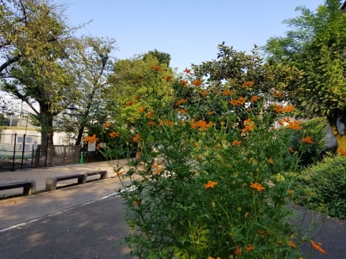 重ねた座布団の上に胡坐をかく大虚業・パナソニック_e0016828_11042151.jpg