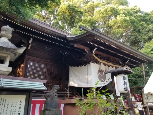 重ねた座布団の上に胡坐をかく大虚業・パナソニック_e0016828_11054709.jpg