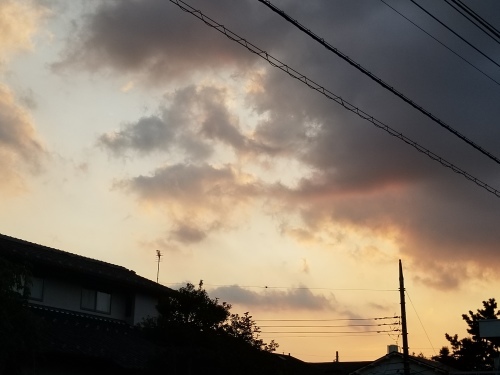重ねた座布団の上に胡坐をかく大虚業・パナソニック_e0016828_11091361.jpg