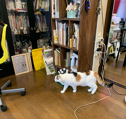 ほぼ１年ぶりに_a0028451_15403933.jpg