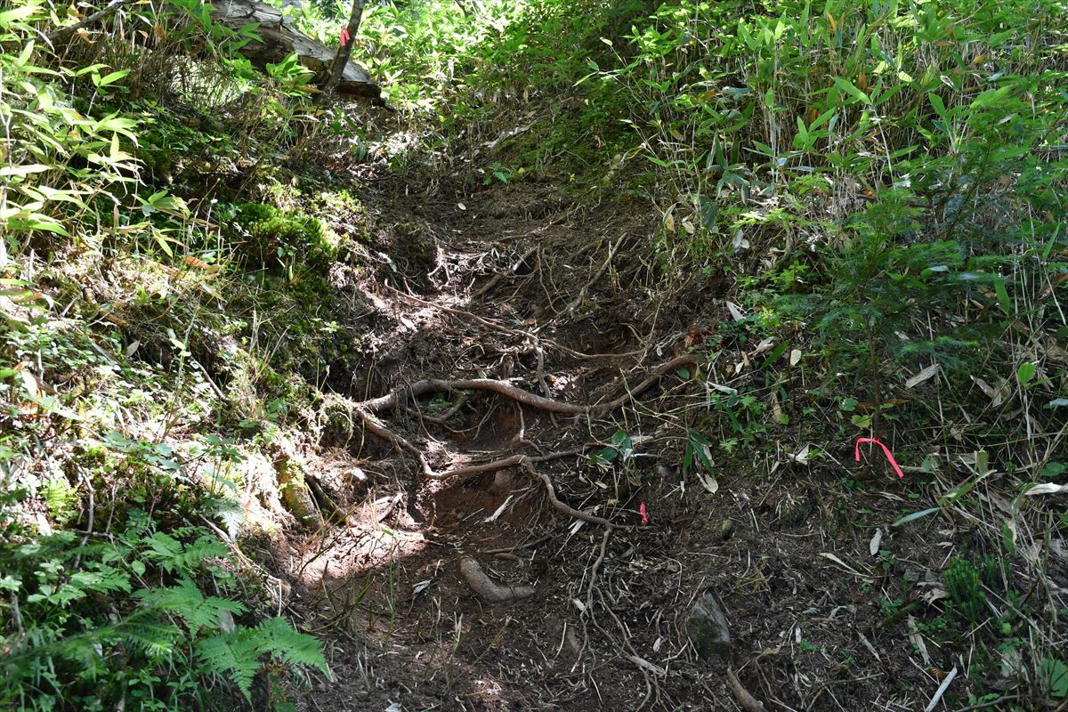 へっぽこの目にも涙～クチャンベツからトムラウシ山 ヒサゴ沼2泊 【2020年8月21～23日】3日目_b0281366_12225859.jpg