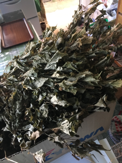 ドクダミ茶_f0363168_11070575.png