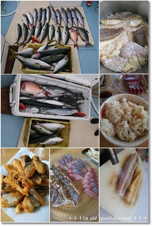 【今週の常備菜】ダンナさんの釣果ご飯と野菜の誤魔化し術は成功!?王子の朝の行動…_a0348473_05095656.jpg