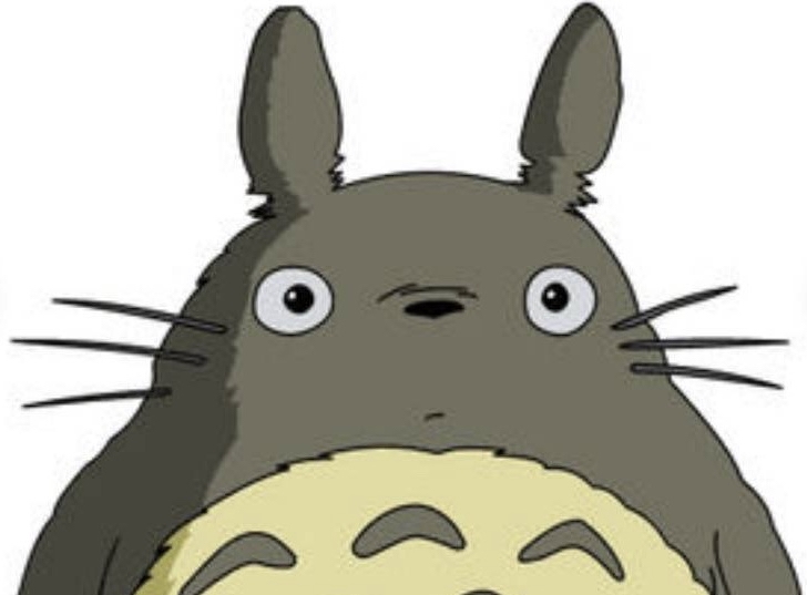ジブリの超有名キャラと似ているポメラニアン ポメとデュークとゆうくんとココア ポメラニアン4兄弟妹なかよし日記