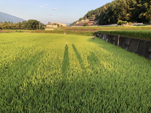 去りゆく夏休み。_a0394574_08554585.jpeg