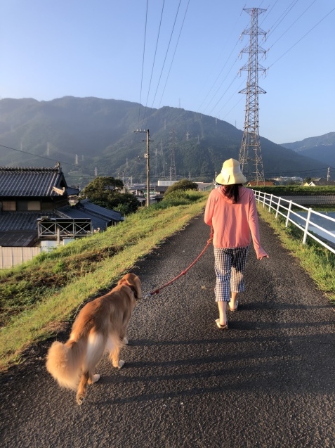 去りゆく夏休み。_a0394574_08581395.jpeg