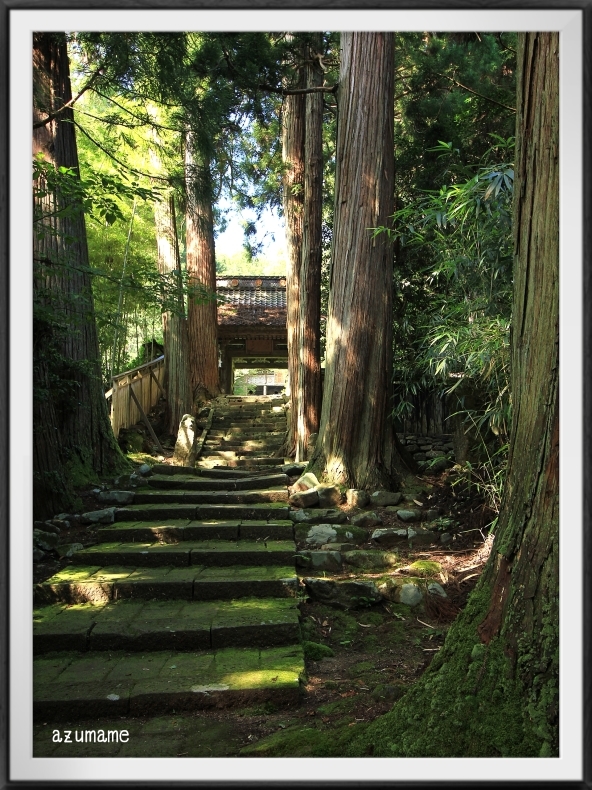 清水寺 《佐渡2日目》_d0376975_17343698.jpg