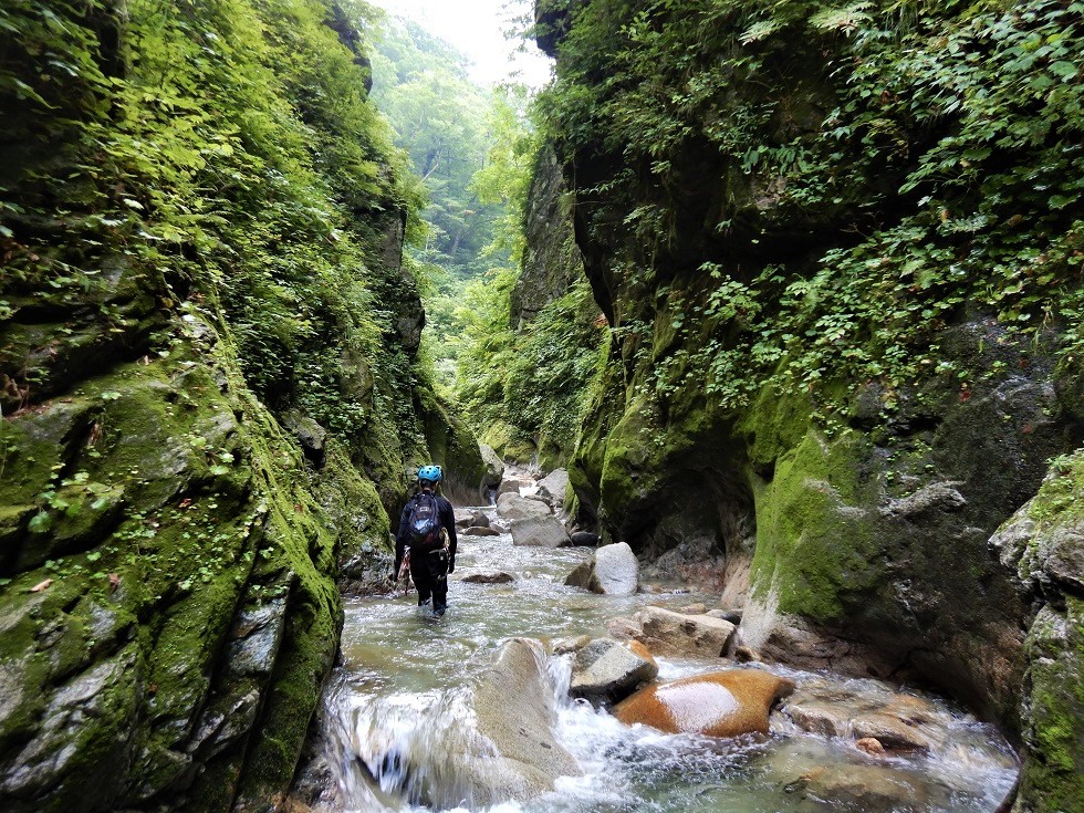 朝日連峰祝瓶山 角楢沢下ノ沢 ～ ２０２０年８月２２日_f0170180_23543548.jpg