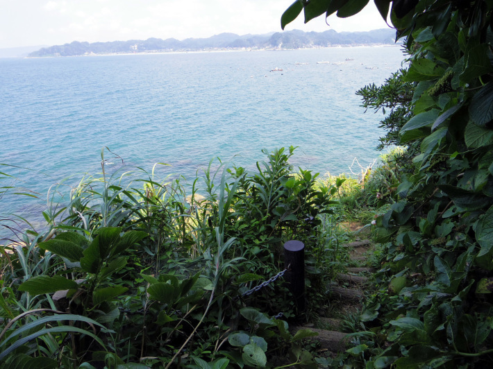 浸食崖の大房岬 8 14 Arsenal Seveile 浸食崖の大房岬 8 14 Arsenal Seveile