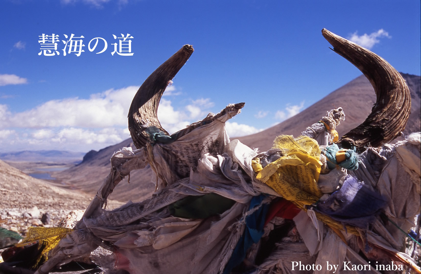 ASIAN ALPINE E-NEWS での掲載!_e0111396_18564662.jpg