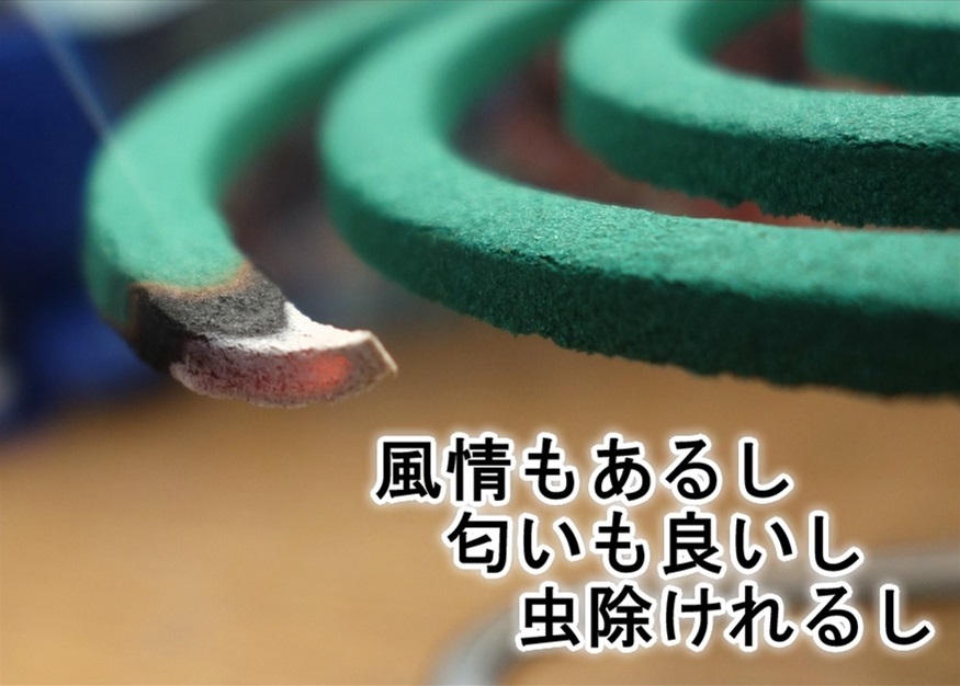 【ただの雑記】煙る!!香る!! DXカトリセンコウ_f0205396_19593151.jpg
