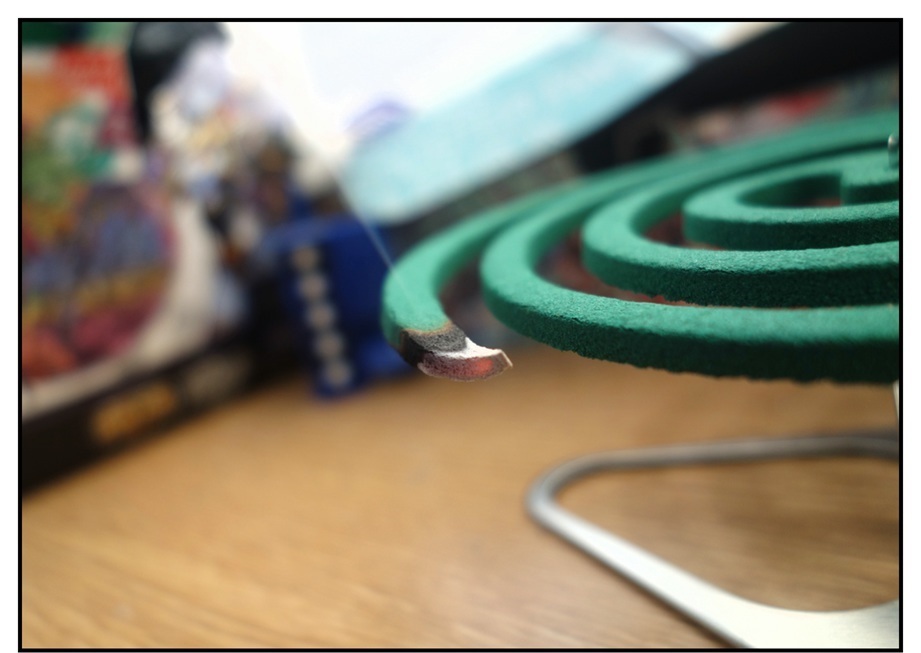 【ただの雑記】煙る!!香る!! DXカトリセンコウ_f0205396_20185933.jpg