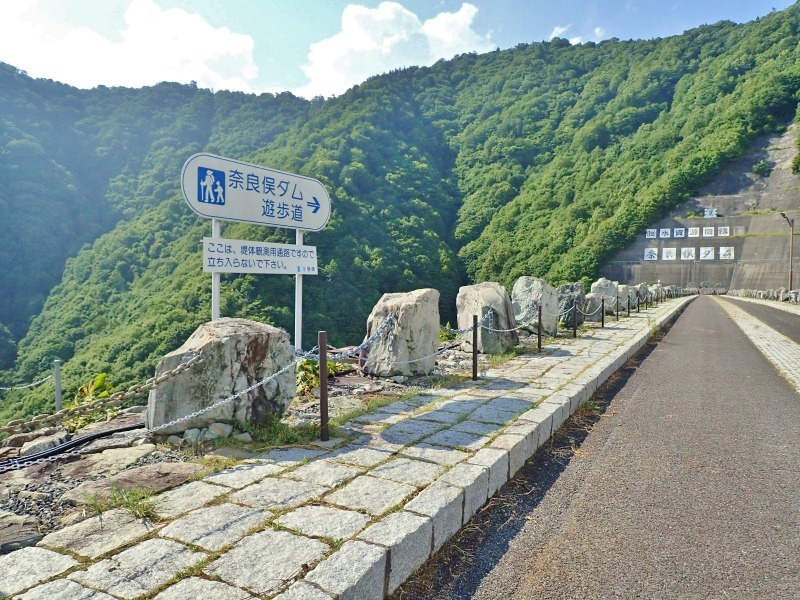 涼を求めて利根川上流へ行ってみました_c0336902_20420095.jpg
