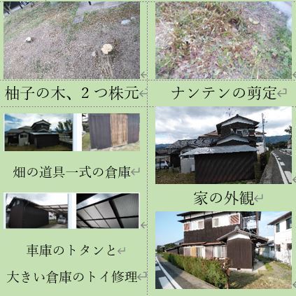 マサキと貝塚イブキの垣根を半分以下に剪定 畑の想いで 8 27 徳ちゃん便り