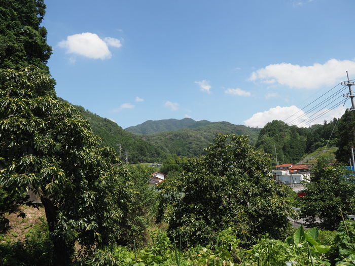 寒山方面_c0116915_00020418.jpg
