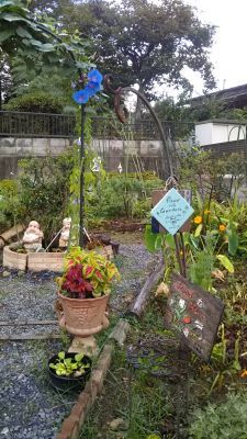 雨の降り方がどうも?_c0155326_07210166.jpg