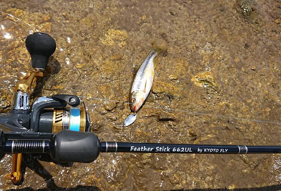 Kyoto Flyのブログ Kyoto Flyのブログ