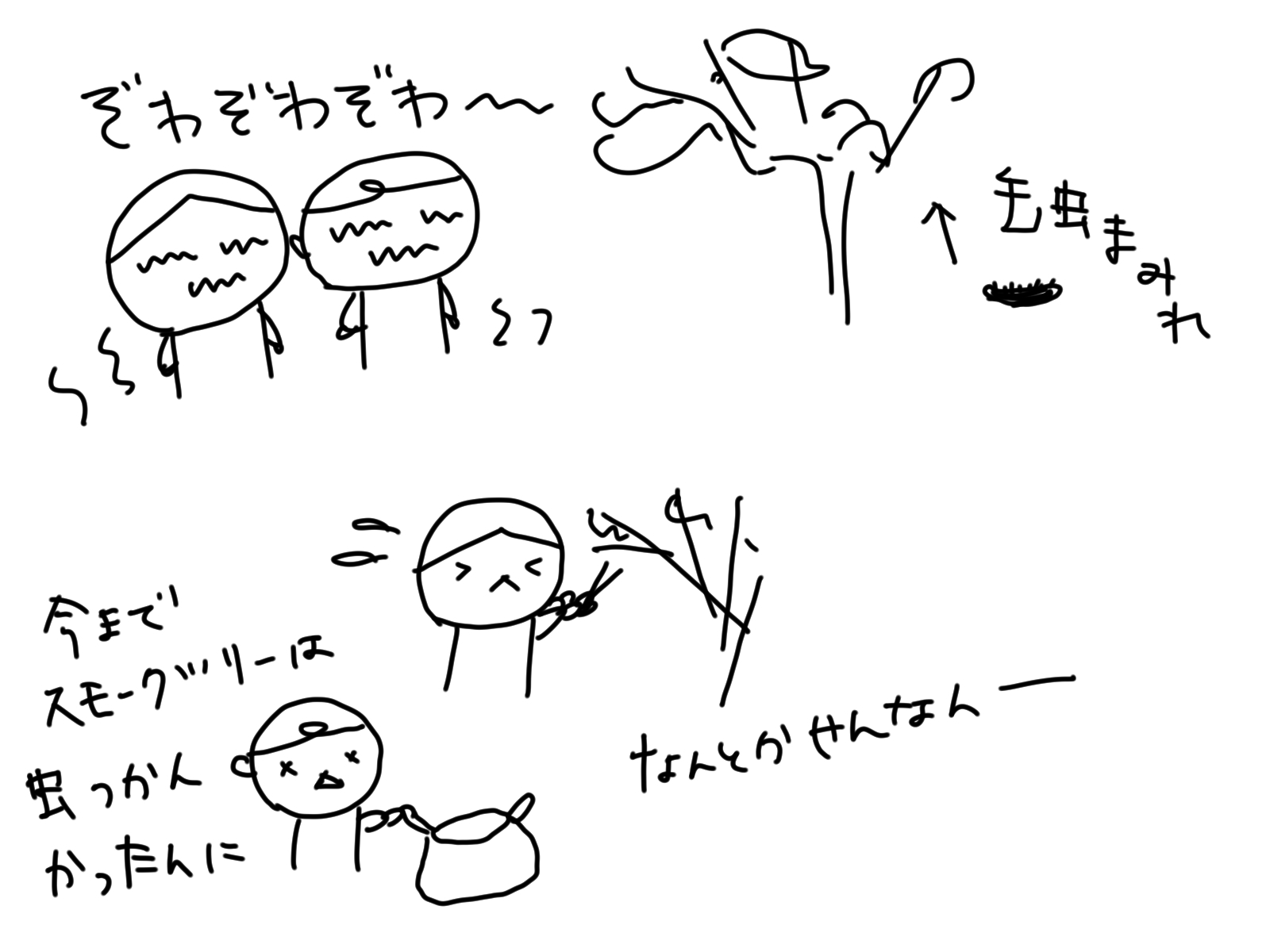 今朝の出来事 ほのぼのまめまめ 今朝の出来事 ほのぼのまめまめ