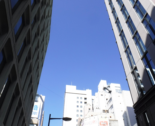 「第一回 懇話会人気作家セレクト展」展示風景(The exhibition landscape.)_e0224057_11392036.jpg