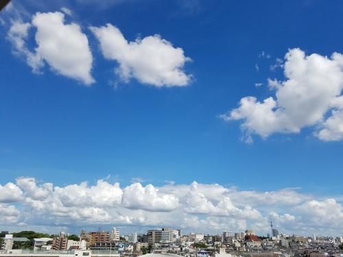 綺麗な夏空♪_d0034659_16291925.jpg