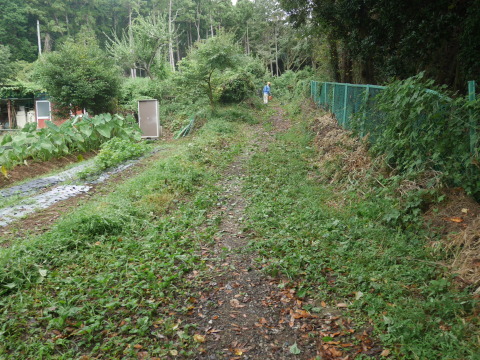 気になっていた神奈川県有竹林の下刈り実施8・27_c0014967_16221101.jpg