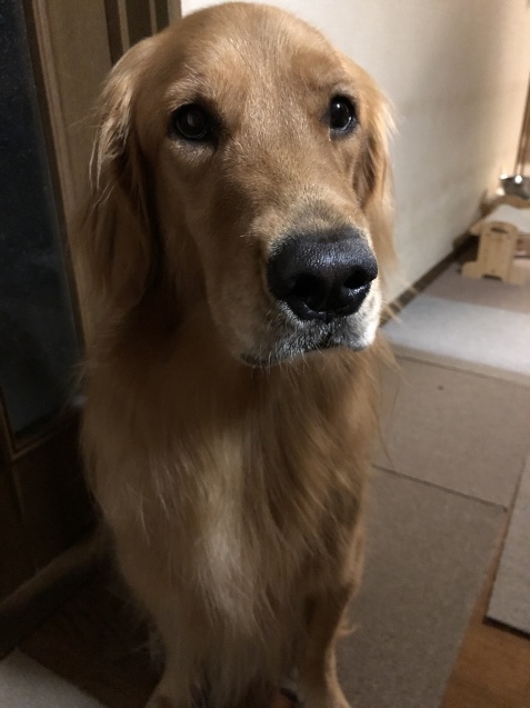 アネラさんのかなしみ。_a0394574_23514477.jpeg