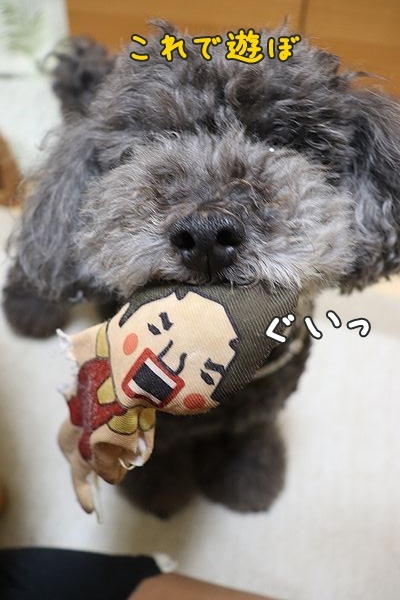 低燃費少女ハイジ うちにかえろう 低燃費少女ハイジ うちにかえろう