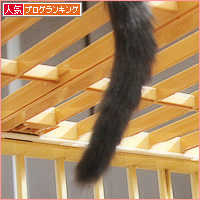 おさるさん兄弟_a0389088_09412902.jpg