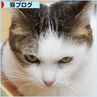 顔に出る猫_a0389088_09564273.jpg