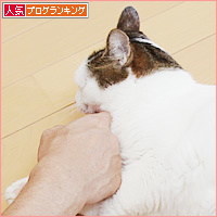 顔に出る猫_a0389088_09564281.jpg