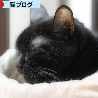 夏なのに冬_a0389088_11171856.jpg