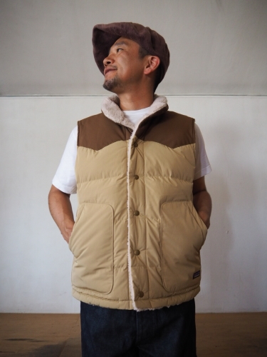 patagonia 絶対お得なRVダウンベスト_e0357389_13454056.jpg
