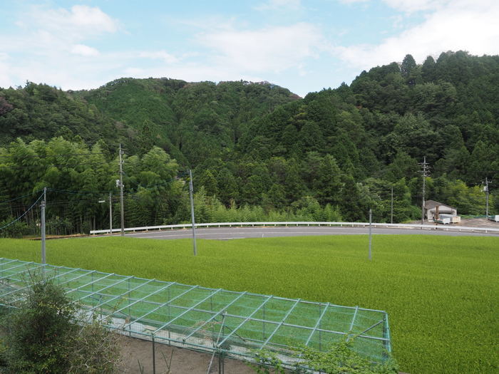晴れたり曇ったり_c0116915_00150055.jpg