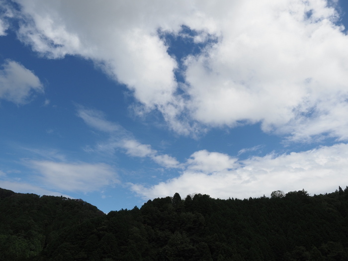 晴れたり曇ったり_c0116915_00155564.jpg