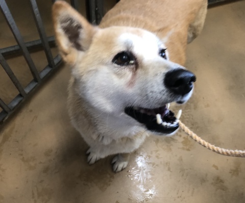 _f0078320_08355357.jpeg