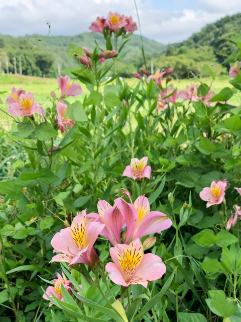 葛尾村＆浪江町給餌同行 #15_c0009934_10443896.jpg