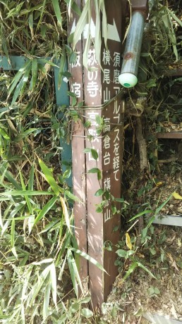 須磨アルプス カメさん歩き_c0218841_19400564.jpg
