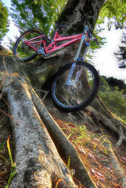 Specialized “Marzocchi Super Monster 300” DEMO9 II_b0049658_17085633.jpg