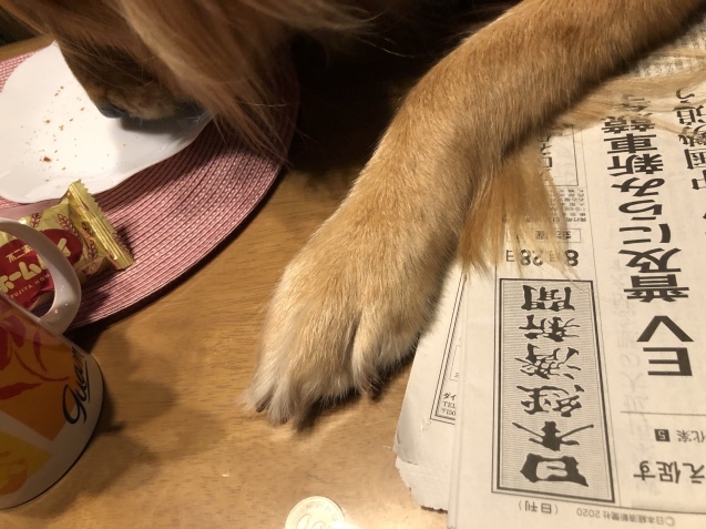 魔法の手。_a0394574_23125967.jpeg