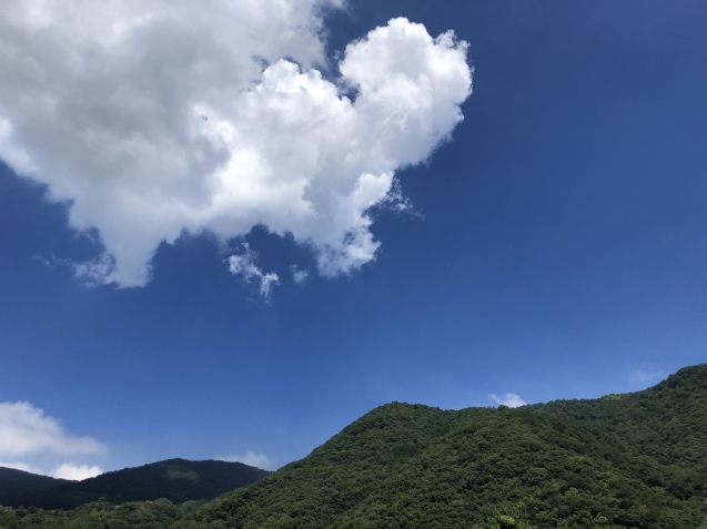 魔法の手。_a0394574_23340642.jpeg