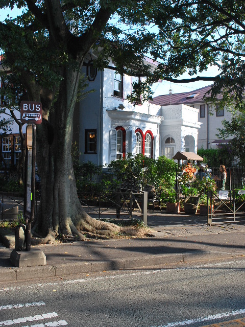 横浜市中区山手町のえの木てい(昭和モダン邸宅探訪)_f0142606_09225828.jpg