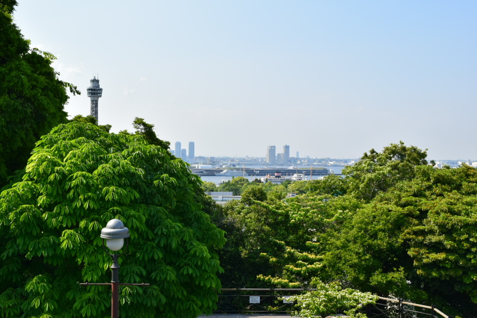 横浜市中区山手町のえの木てい(昭和モダン邸宅探訪)_f0142606_09382689.jpg