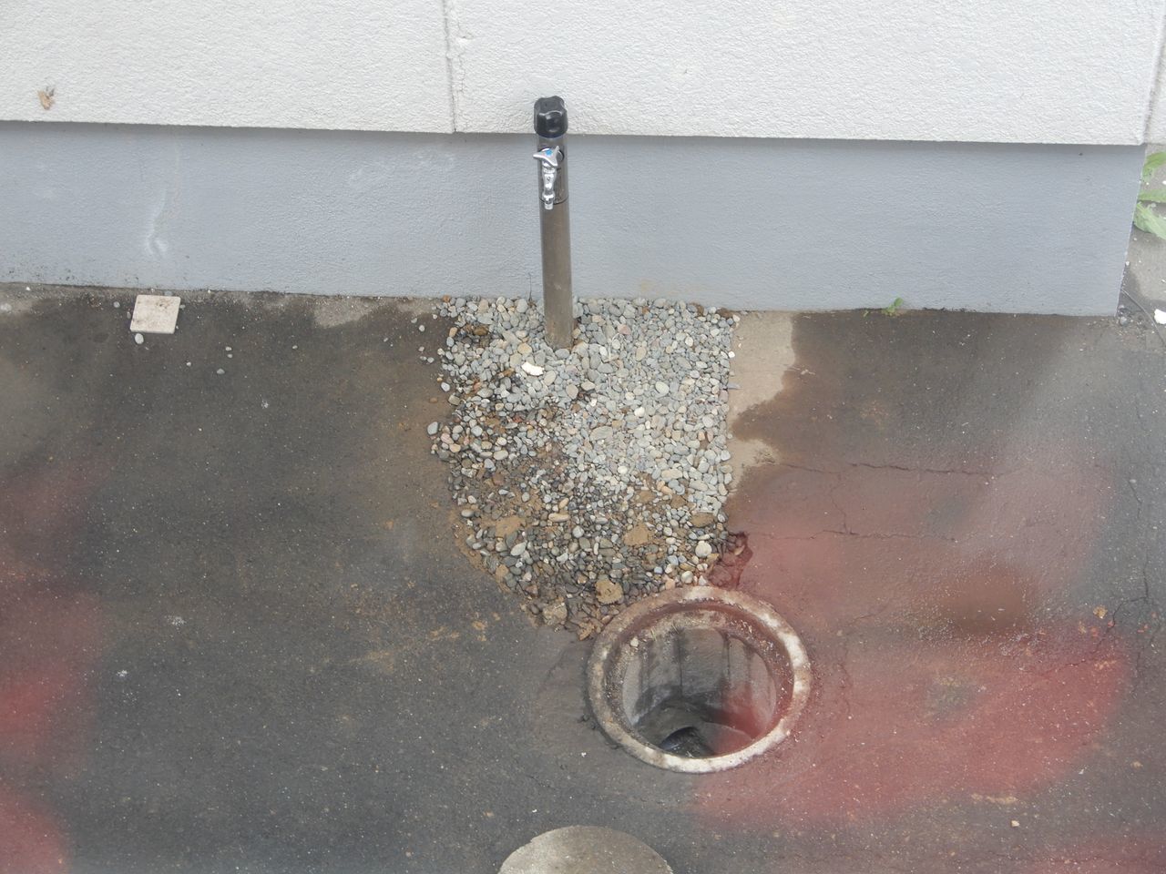 気温がグングン下がってきています_c0025115_22595402.jpg