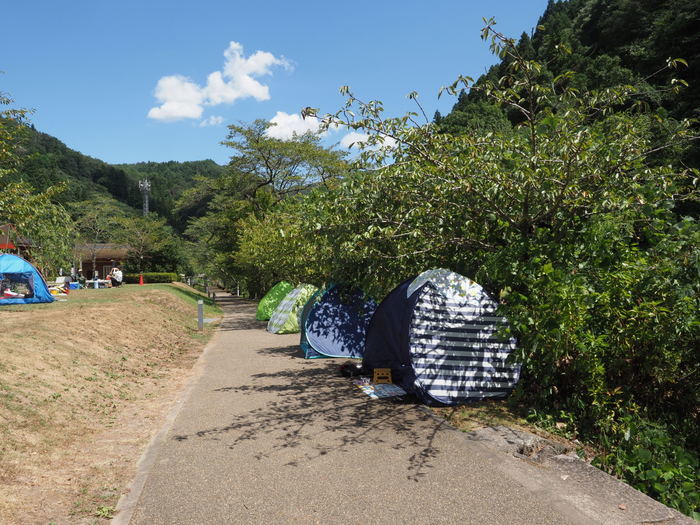 湯来ロッジ周辺_c0116915_23435090.jpg