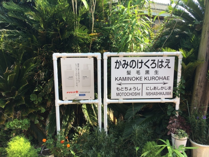 銚子旅行4.銚子電気鉄道_c0004024_17312129.jpg
