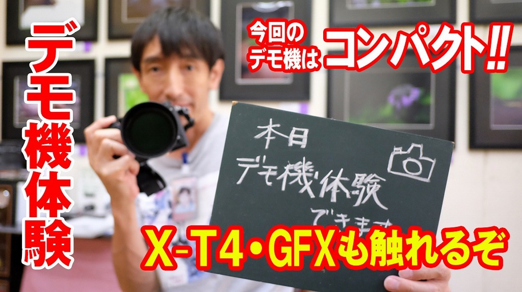 カメラは軽くて小さくて写りが良ければ言うことないよね_f0221724_16031101.jpg